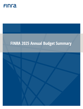 2025 Annual Budget Summary